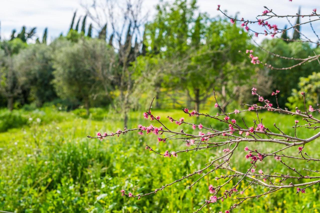 فيلا Traumhafte Finca Son Senyor - Mit Pferdekoppel سا بوبلا المظهر الخارجي الصورة