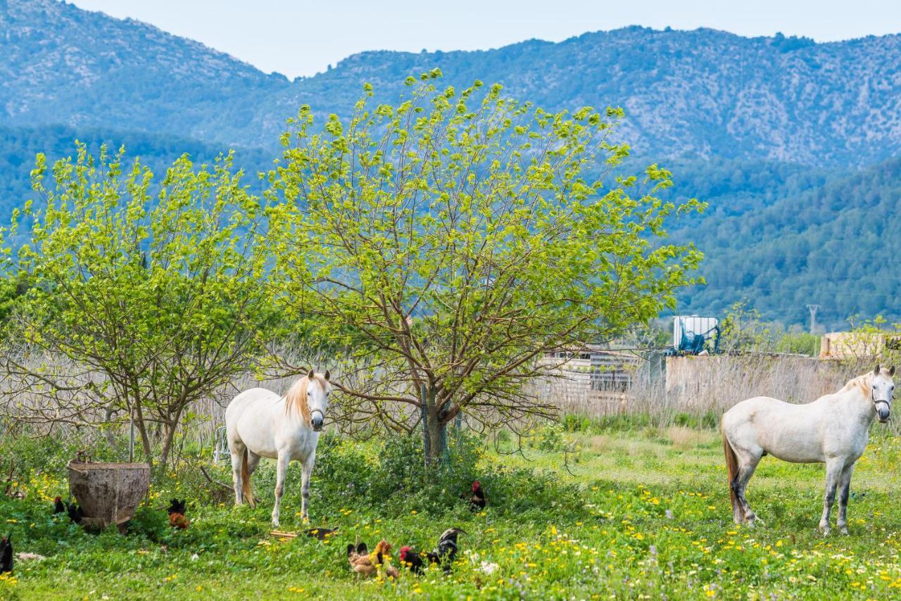 فيلا Traumhafte Finca Son Senyor - Mit Pferdekoppel سا بوبلا المظهر الخارجي الصورة